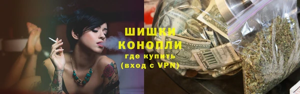 гидропоника Строитель