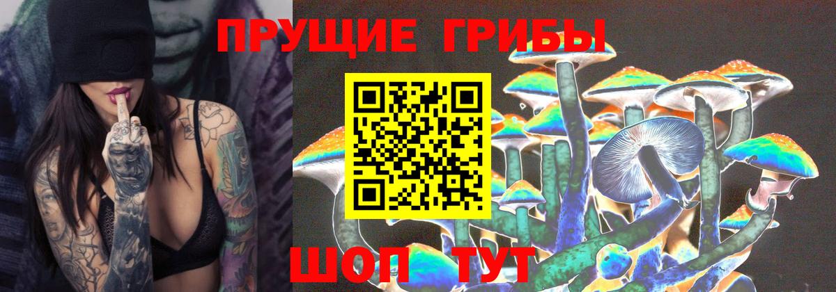 Галлюциногенные грибы MAGIC MUSHROOMS Ессентуки
