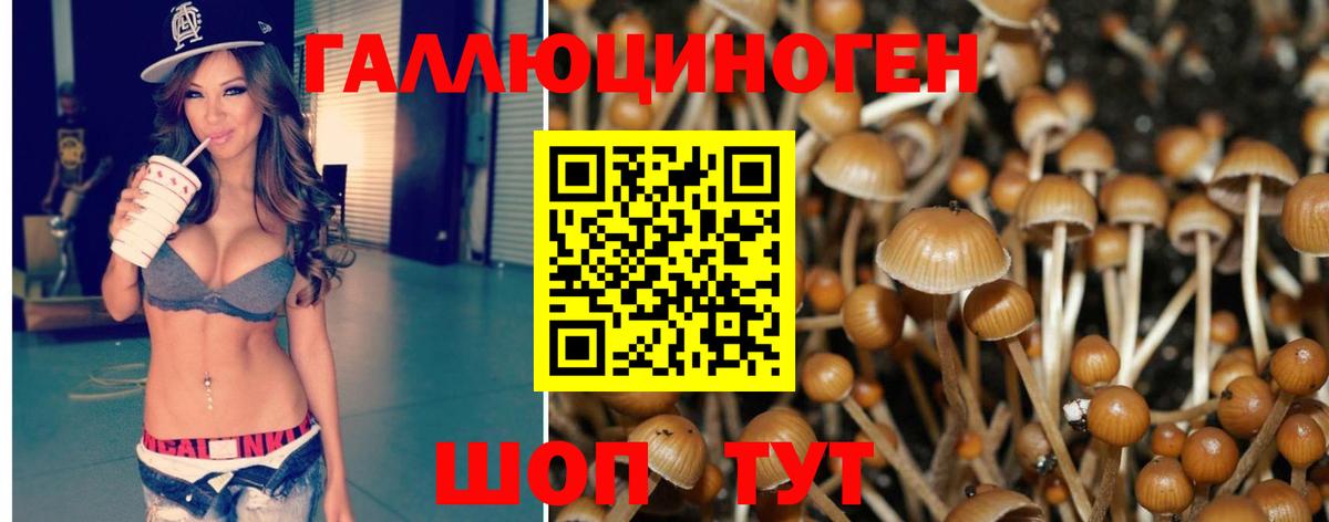 Псилоцибиновые грибы Magic Shrooms  Ессентуки 